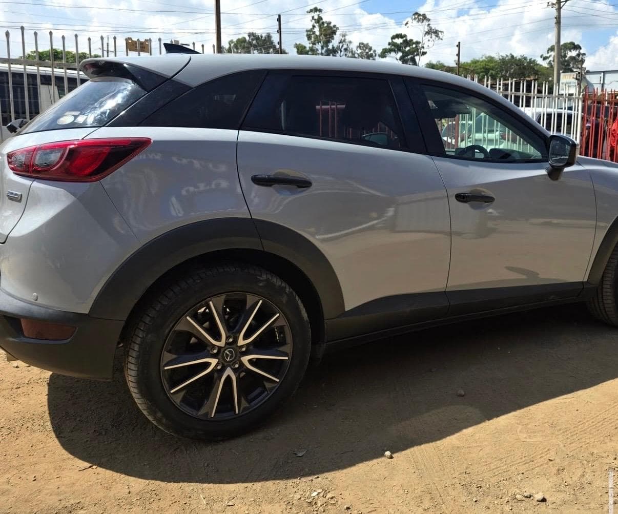 Silver Metallic Wraps